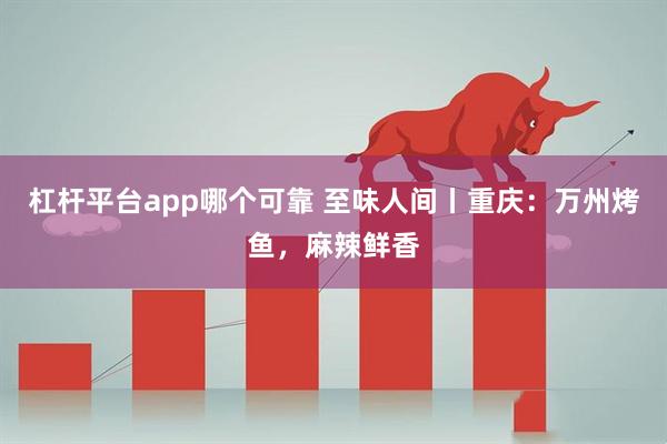 杠杆平台app哪个可靠 至味人间丨重庆：万州烤鱼，麻辣鲜香